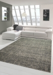 Preview: Klassisch Orientalischer Teppich beige grau