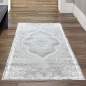 Preview: Orient Teppich mit Verzierungen Hoch-Tief Effekt grau beige