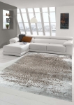 Preview: Designer und  Moderner Teppich Wohnzimmerteppich Vintage in Beige Grau