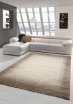 Preview: Designer Teppich Moderner Teppich Wohnzimmer Teppich Kurzflor Teppich Barock Design Meliert mit Bordüre in Braun Beige Creme