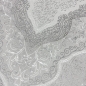Preview: Orient Teppich mit Verzierungen Hoch-Tief Effekt grau beige