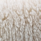 Preview: Rechteckiger Teppich mit abgerundeten Ecken – weich – in beige