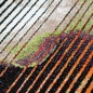 Preview: Modern-abstrakter Teppich in bunten Farben