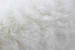 Preview: Teppich Kunstfellteppich Hochflor Faux Fur Hasenfell uni Farbe weiss