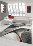 Preview: Teppich modern Teppich Wohnzimmer Designer Teppich in grau rot