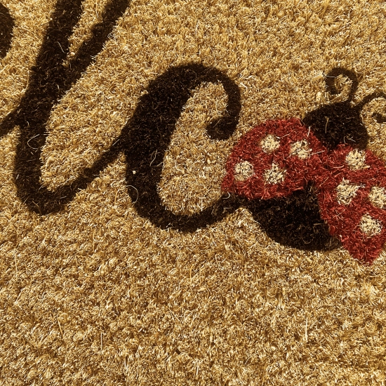 Preview: Robuster Fußabtreter • Kokos Naturfasern • Marienkäfer in rot