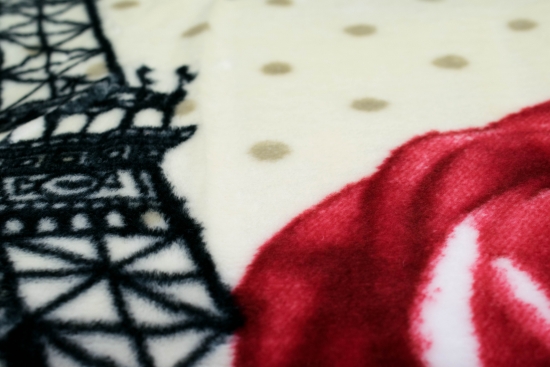 Decke Wohndecke Spieldecke Kuscheldecke Kinderdecke mit Eiffelturm Design in Taupe Braun Creme Rot Schwarz