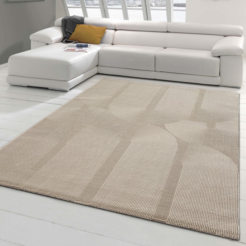 Recycle Teppich mit modernen ovalen Formen liniert in beige