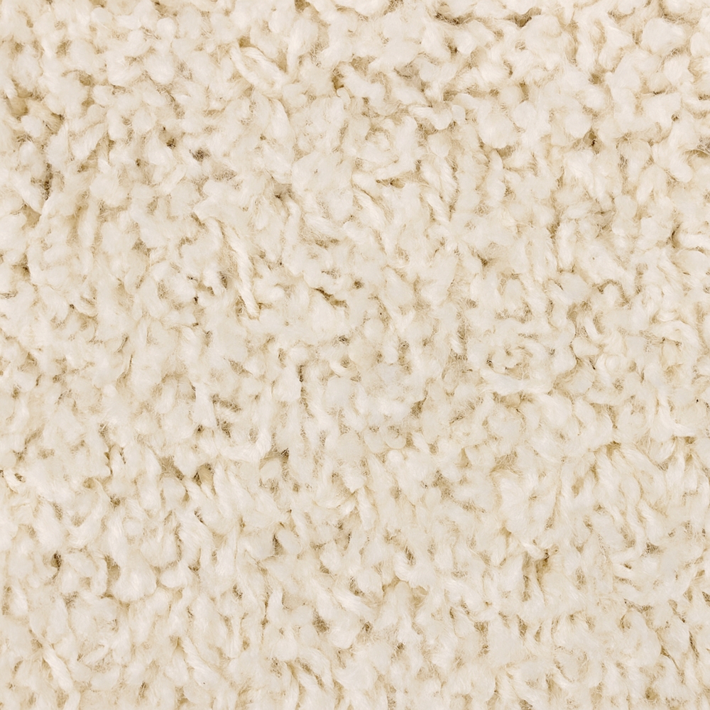 Shaggy Teppich in Creme für Wohnzimmer und Schlafzimmer – kuschelig weich und stilvoll